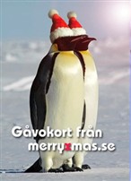g&aring;vokort,merry,xmas